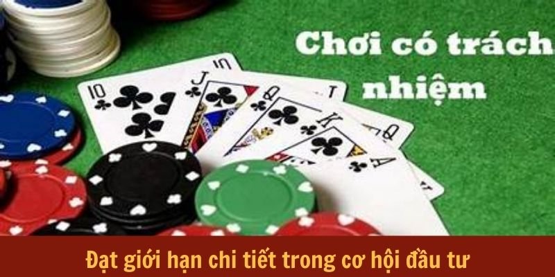 choi-co-trach-nhiem-dat-gioi-han-chi-tiet-co-hoi-dau-tu