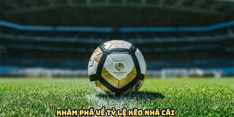 kham-pha-ty-le-keo-nha-cai