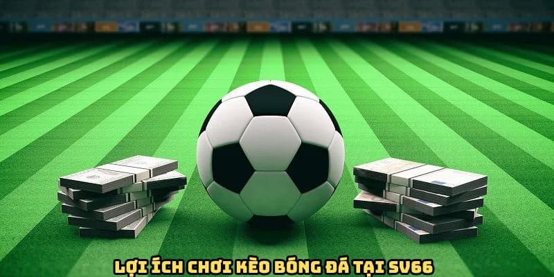 loi-ich-choi-ty-le-keo-nha-cai-tai-sv66