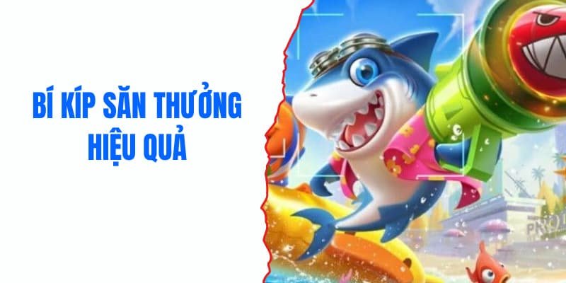 ban-ca-doi-thuong-meo