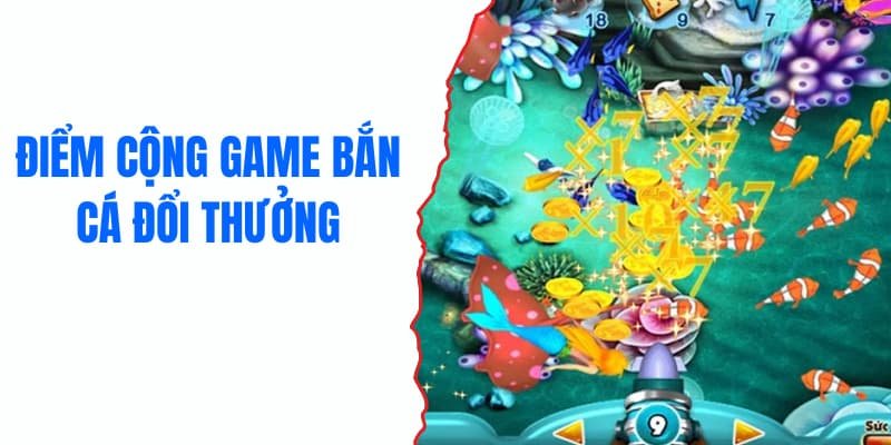 ban-ca-doi-thuong-tong-quan