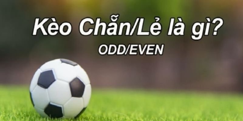 tim-hieu-ve-keo-chan-le