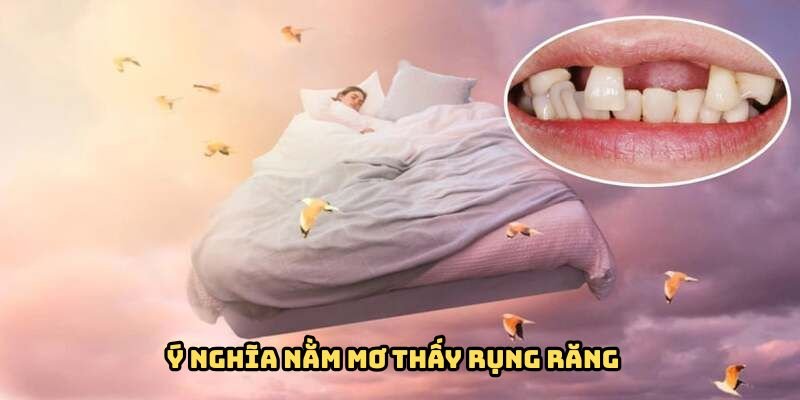 y-nghia-nam-mo-thay-rung-rang