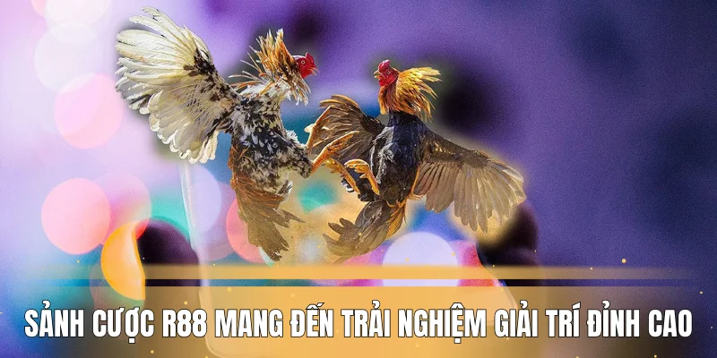 sanh-cuoc-r88-mang-den-trai-nghiem-giai-tri-dinh-cao