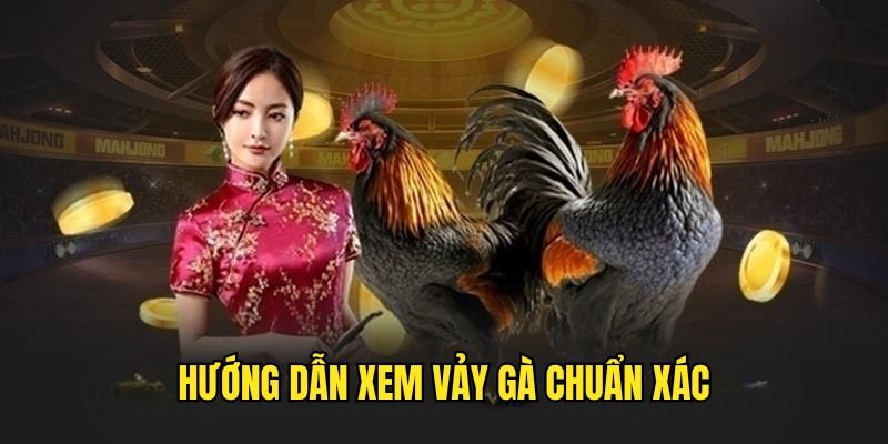 xem-vay-ga-huong-dan